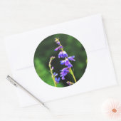 カナダの開花の美しい紫の野草 ラウンドシール (封筒)
