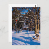 カナダの雪に覆われた冬公園 ポストカード (正面/裏面)
