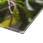 カナダの鳥写真、ボヘミアン・ワックスウィング カッティングボード (角)