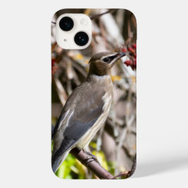 カナダの鳥写真、ボヘミアン・ワックスウィング Case-Mate iPhone 14ケース