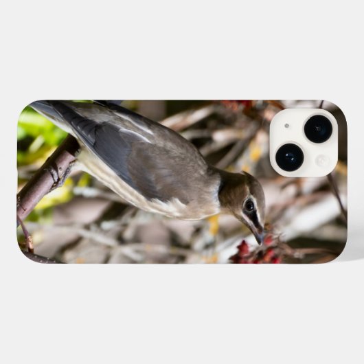 カナダの鳥写真、ボヘミアン・ワックスウィング Case-Mate iPhoneケース (裏面 (横))