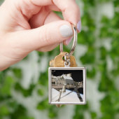 カナダのDextreロボットシステム キーホルダー (手)