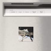 カナダのDextreロボットシステム マグネット (インサイチュ (食洗機))