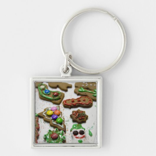 カナダアルベルタバンフフェアモントバンフ春 キーホルダー (正面)