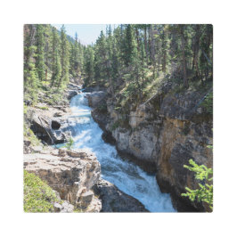 カナダウォーターフォールアドベンチャースタンリー滝 メタルプリント