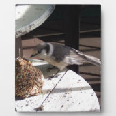 カナダカケスおよび鐘の写真のプラク フォトプラーク (正面)