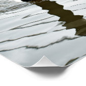 カナダガチョウがガンジャを飼っている！ ポスター (コーナー)