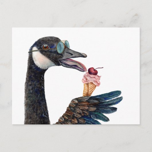 カナダガチョウとアイスクリーム ポストカード (正面)
