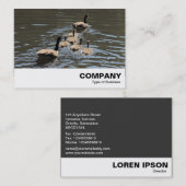 カナダガチョウとゲスリング 名刺 (正面/裏面)