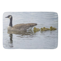 カナダガチョウとゴスリング