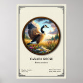 カナダガチョウの動物学シリーズ ポスター (正面)