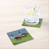 カナダガチョウの草の上の水コースター スクエアペーパーコースター (インサイチュ)