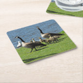 カナダガチョウの草の上の水コースター スクエアペーパーコースター (アングル)