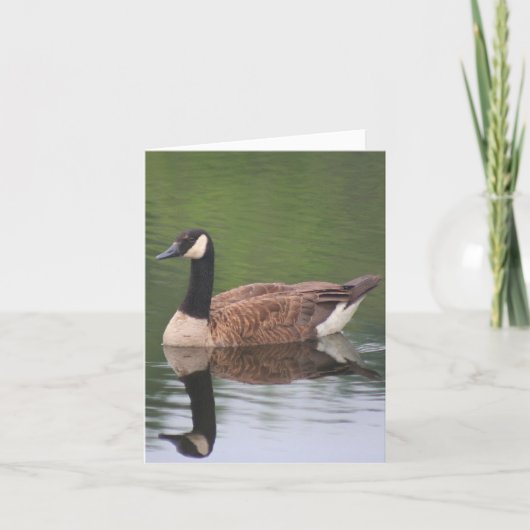 カナダガチョウの静かな水面映り 自然ノート カード (正面)