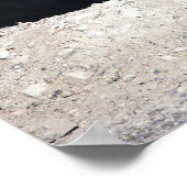 カナダガチョウベビーポスター ポスター (角)