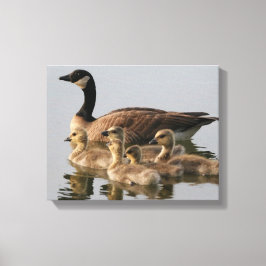 カナダガチョウ愛好家への贈り物 キャンバスプリント