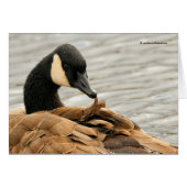 カナダガチョウ湖で祈る (正面横)