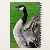 カナダガチョウ羽ばたき翼の写真 ノートブック (裏面)