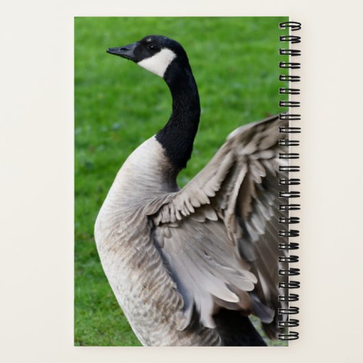 カナダガチョウ羽ばたき翼の写真 ノートブック (裏面)