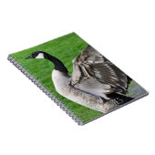 カナダガチョウ羽ばたき翼の写真 ノートブック (右側)