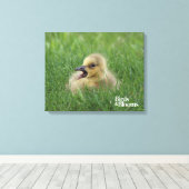 カナダガチョウ キャンバスプリント (インサイチュ (ウッドフロア))