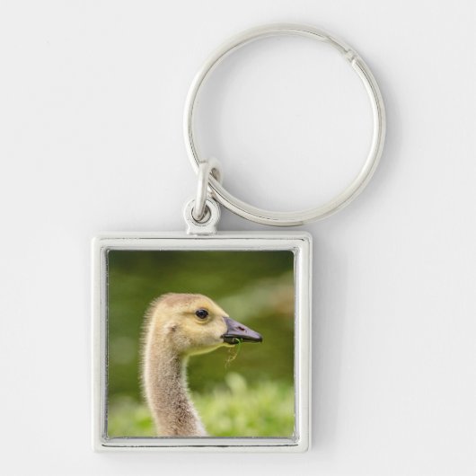 カナダガチョウ キーホルダー (正面)