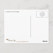 カナダガチョウ&ゴスリング野生生物シリーズ# 17 ポストカード (裏面)