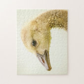 カナダガチョウ ジグソーパズル (縦)