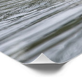 カナダガチョウ ポスター (コーナー)