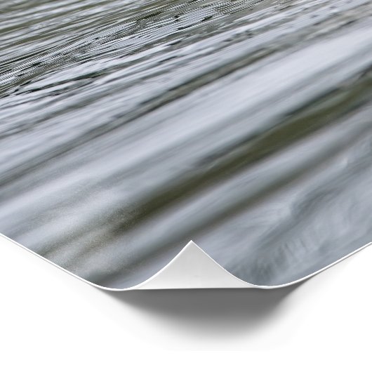 カナダガチョウ ポスター (コーナー)