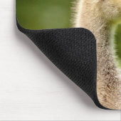 カナダガチョウ マウスパッド (コーナー)