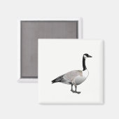 カナダガチョウ マグネット (正面/裏面)