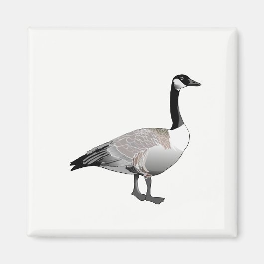 カナダガチョウ マグネット (正面)