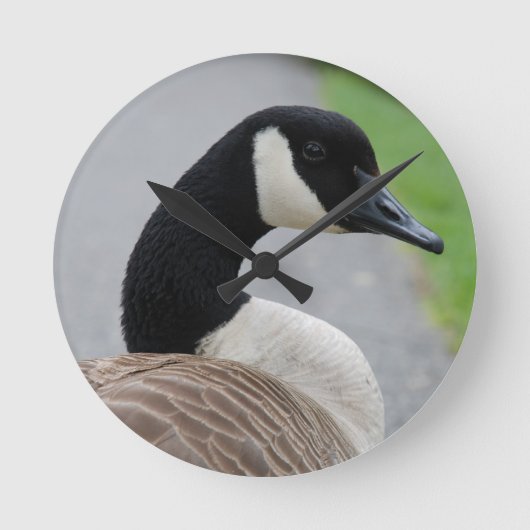 カナダガチョウ ラウンド壁時計 (正面)