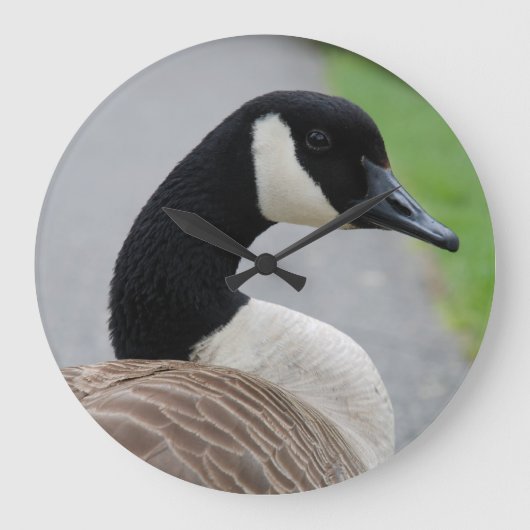 カナダガチョウ ラージ壁時計 (正面)