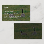 カナダガチョウ 名刺 (正面/裏面)