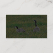 カナダガチョウ 名刺 (裏面)