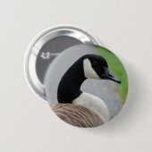 カナダガチョウ 缶バッジ (正面&裏面)