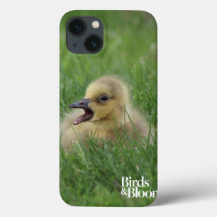 カナダガチョウ iPhone 13ケース