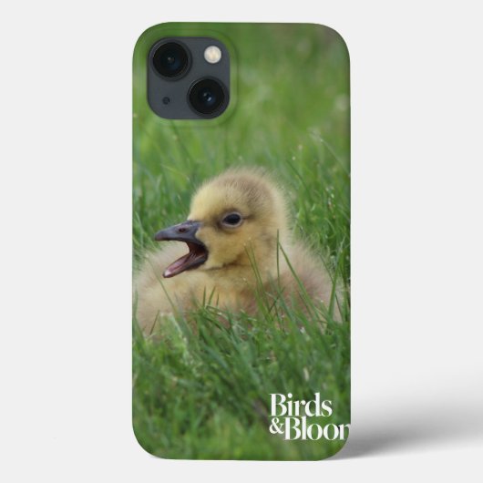 カナダガチョウ Case-Mate iPhoneケース (裏面)