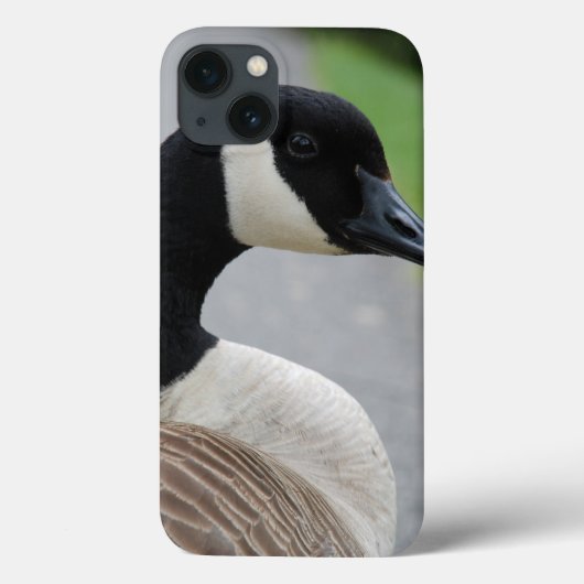 カナダガチョウ Case-Mate iPhoneケース (裏面)