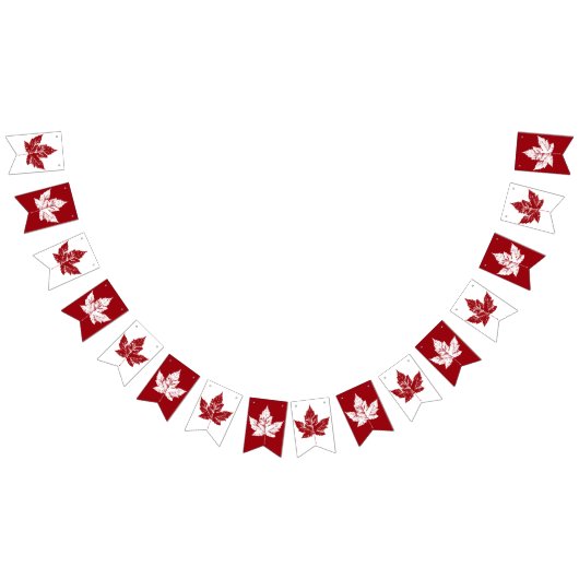 カナダクールバンティンバナーCanada Day Decoration バンティングフラッグ (全)