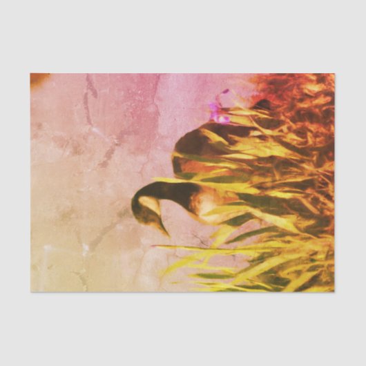 カナダグースアイリスズ自然アートデコップページ 薄葉紙 (正面)