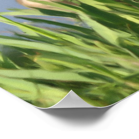 カナダグースアイリス絵画ズ自然 ポスター (角)