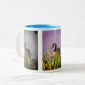 カナダグースアイリス自然アート ツートーンマグカップ (正面左)