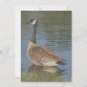 カナダグースアート自然パーティー 招待状 (裏面)