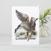 カナダグースアート 招待状 (スタンド正面)