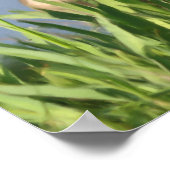 カナダグースインナーピース感動的引用文 ポスター (角)