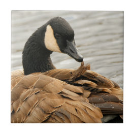 カナダグースオンザレイク タイル