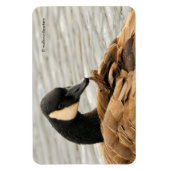 カナダグースオンザレイク マグネット (縦)